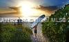 LAKE WORTH TOWN OF ADD 1 - Residential Lease