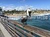LAKE WORTH TOWN OF ADD 1 - Residential Lease