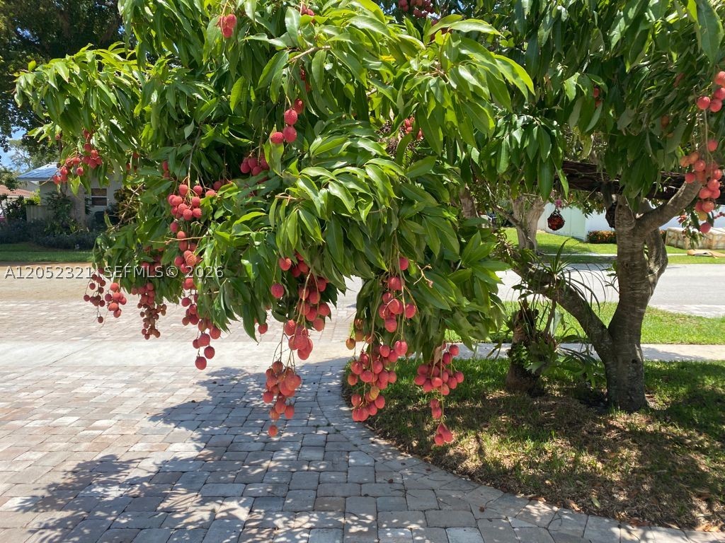 BOCA RATON SQUARE UNIT 8 - Residential Lease