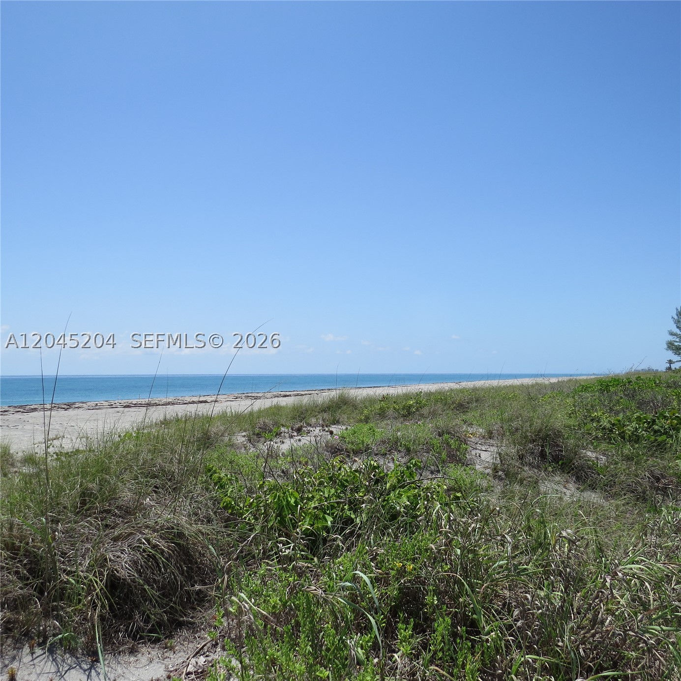 JUPITER ISLAND - Residential Lease