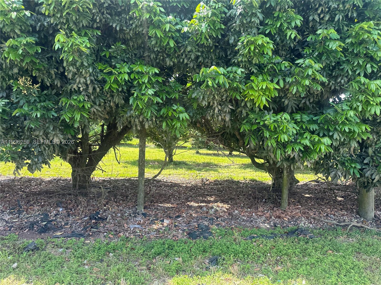 FLORIDA CITY PINES - Land