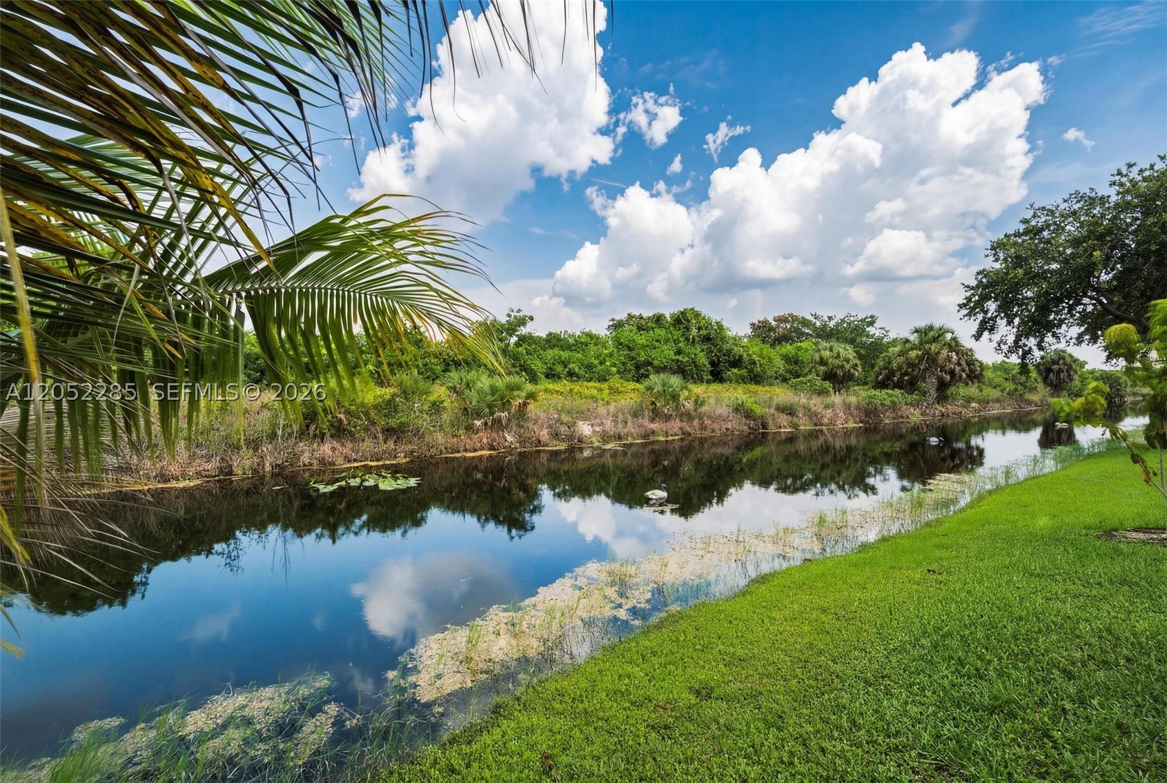 HERON BAY FOUR - Residential