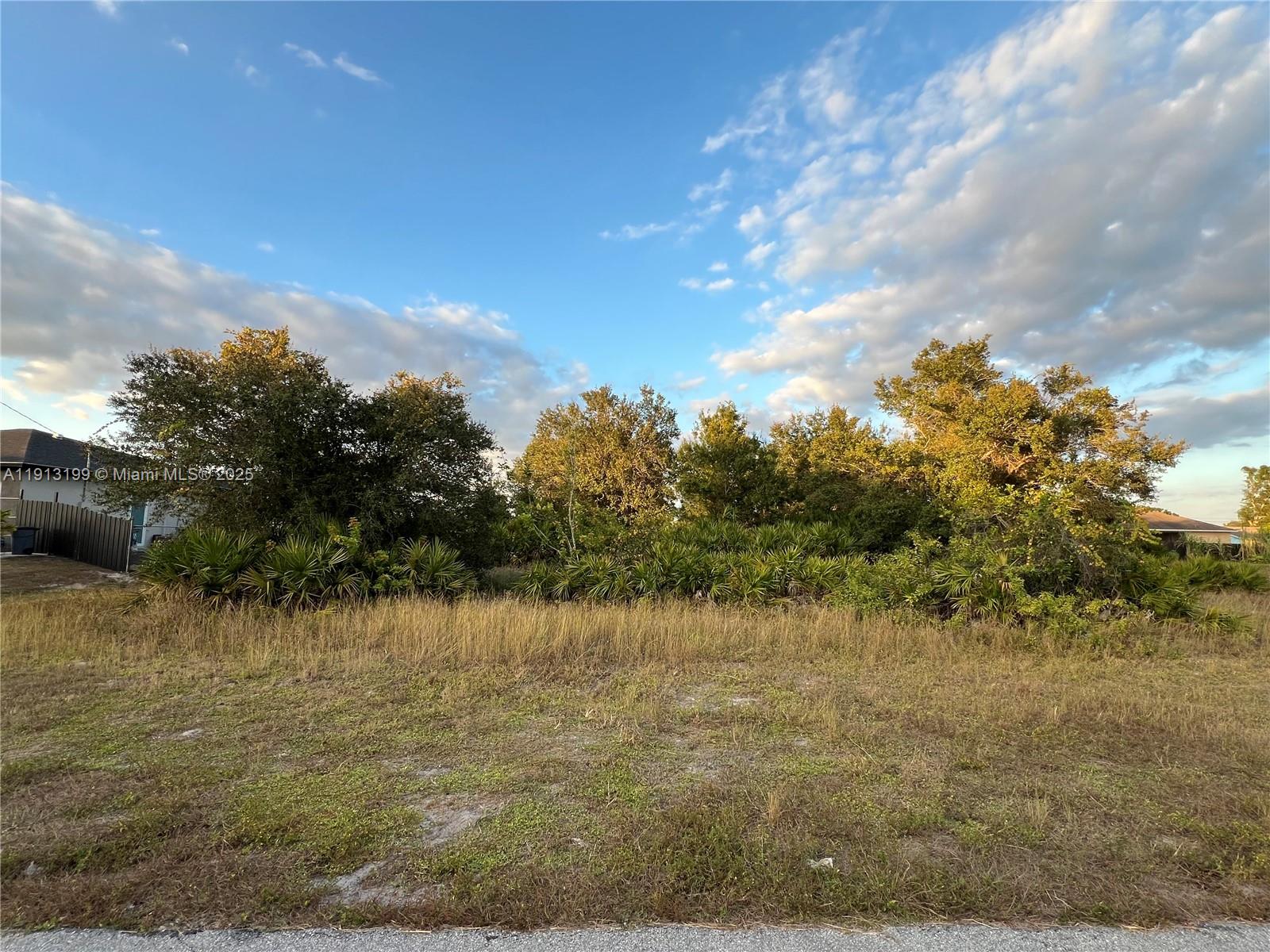 Build your dream home on this 0.25-acre residential lot located in the rapidly growing NW Lehigh Acres. Zoned RS-1 for single-family use, this property offers excellent potential for homeowners, builders, or investors. Ideally positioned just off Gunnery Road and Lee Boulevard, you are close to shopping, schools, the public library, restaurants, Fort Myers, and RSW Airport. The lot is in Flood Zone X, meaning flood insurance is not required, and it benefits from no HOA. A DEP study has been completed and can be provided, confirming there are no protected species, no animals, and no exotic plants on-site, allowing for a clean and ready-to-build homesite. The lot next door is also available for purchase, offering a rare opportunity to secure two adjoining parcels in this expanding area.