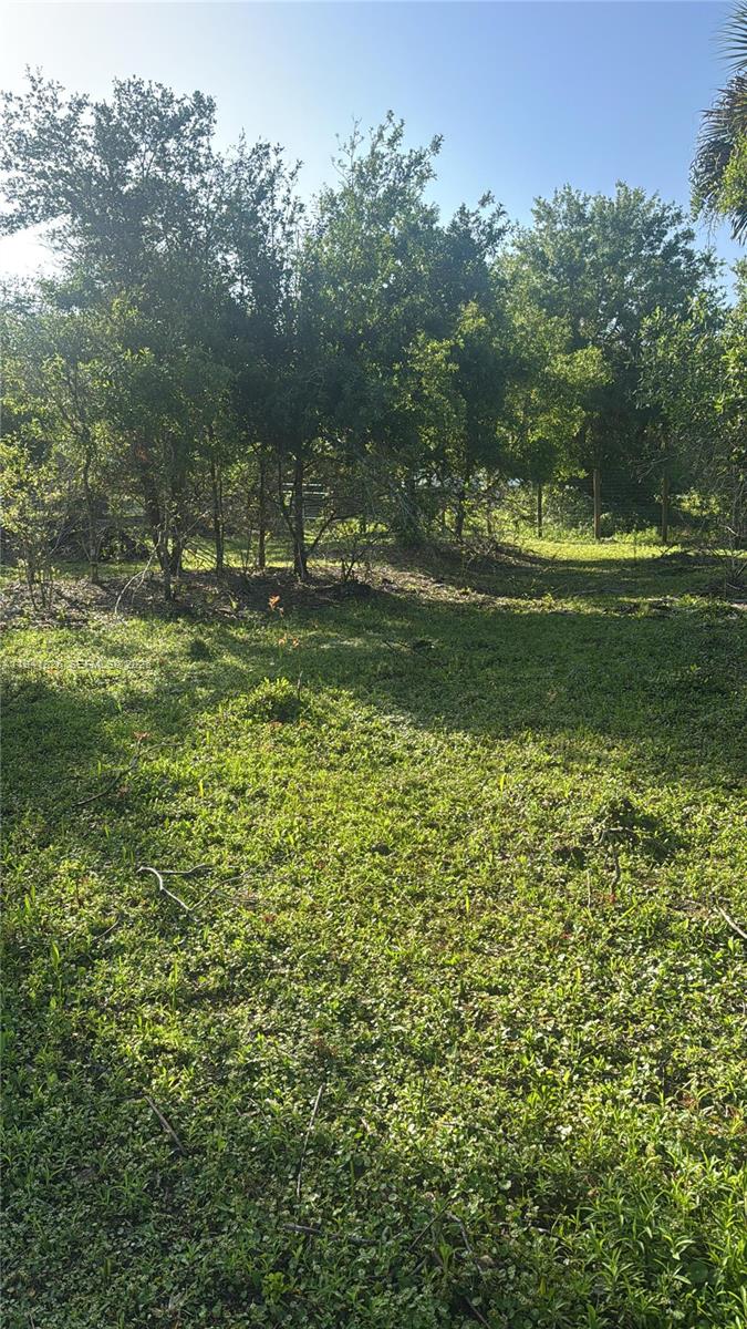 Okeechobee - Land