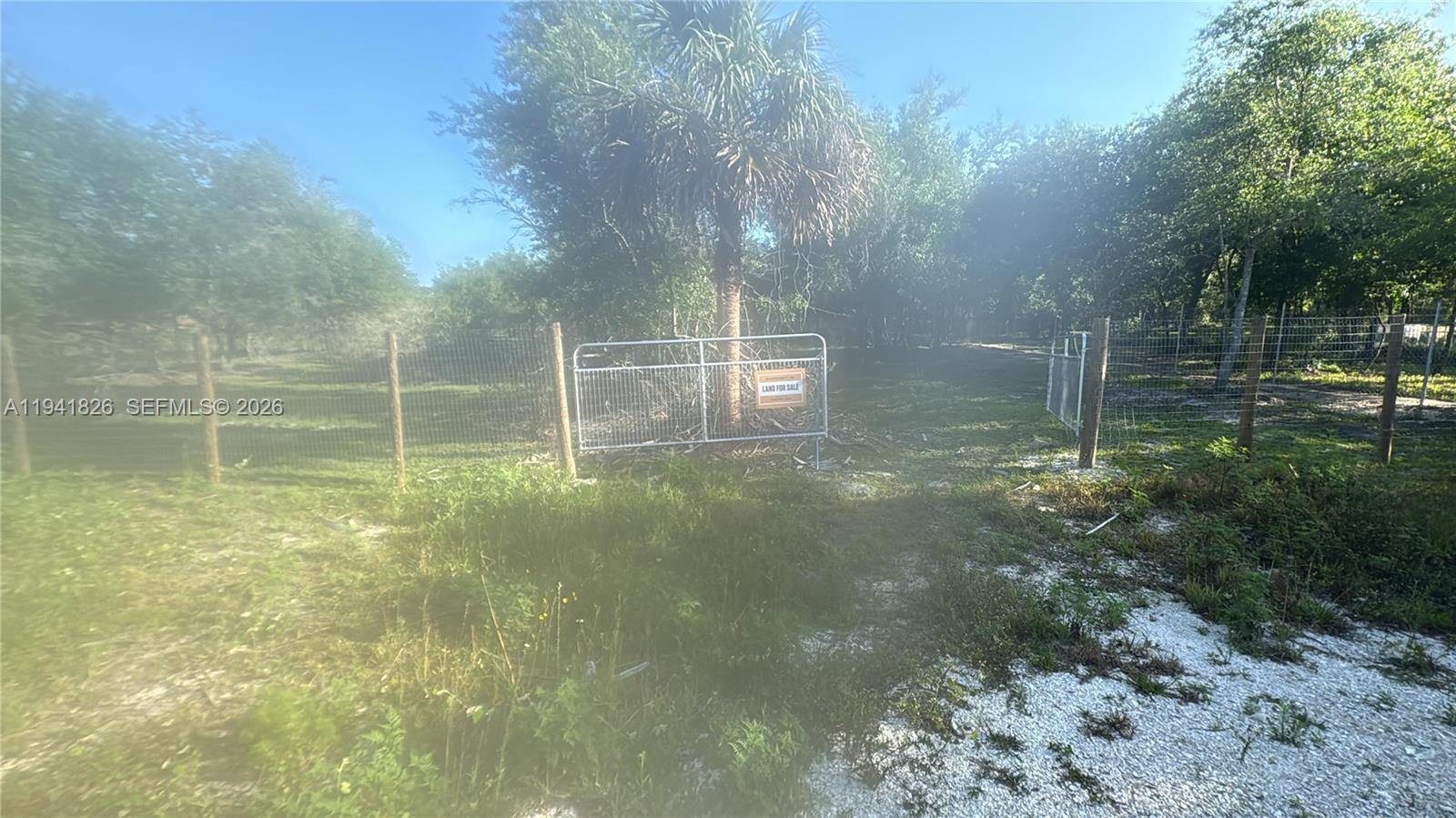Okeechobee - Land