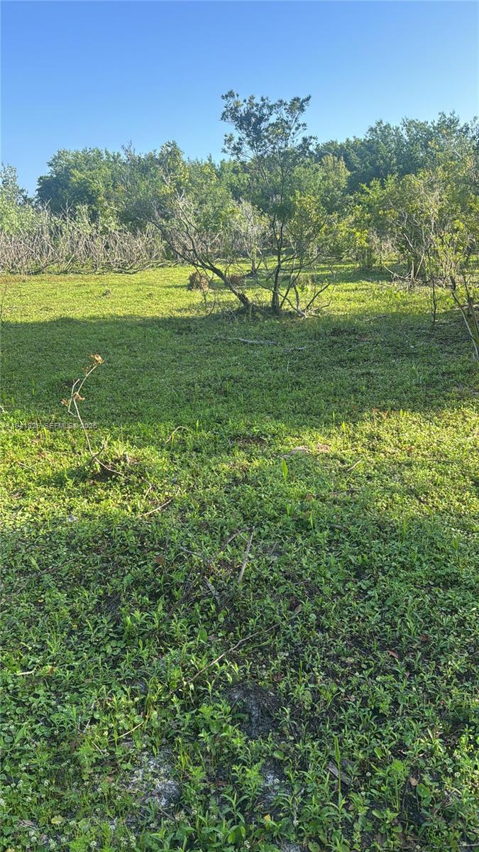 Okeechobee - Land