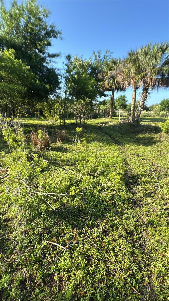 Okeechobee - Land