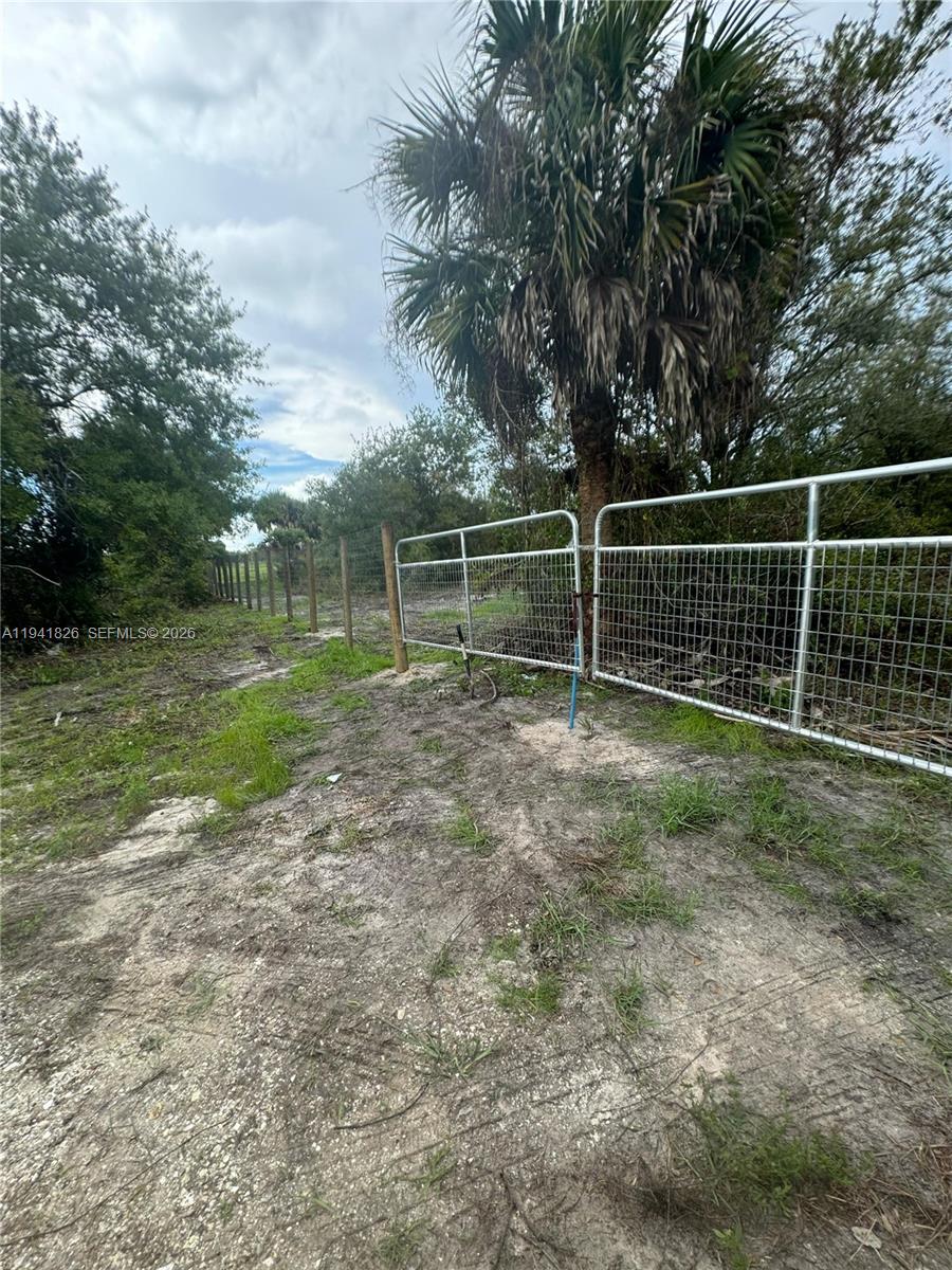 Okeechobee - Land