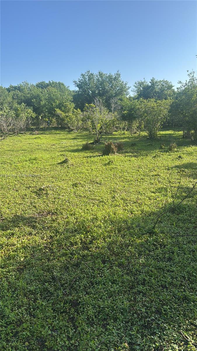 Okeechobee - Land