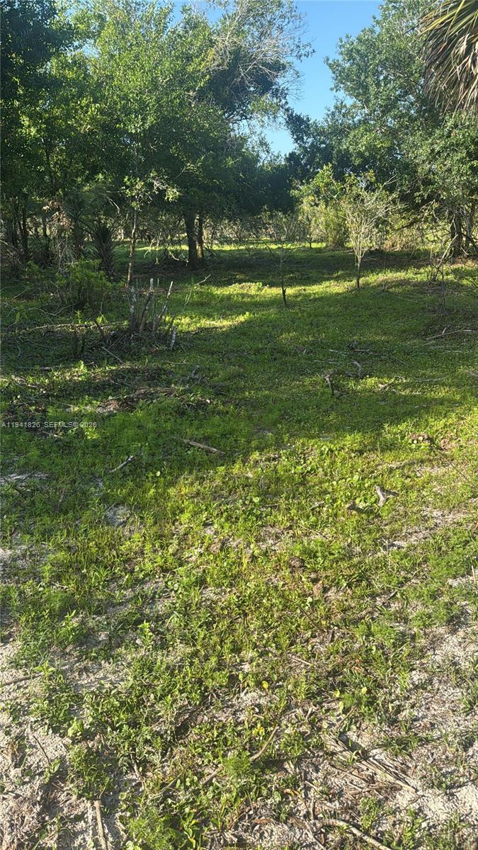 Okeechobee - Land