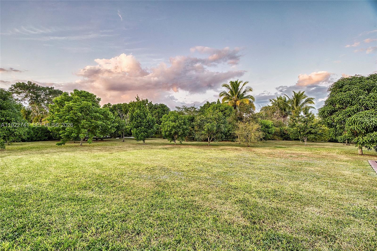 SILVER PALM CITY - Residential