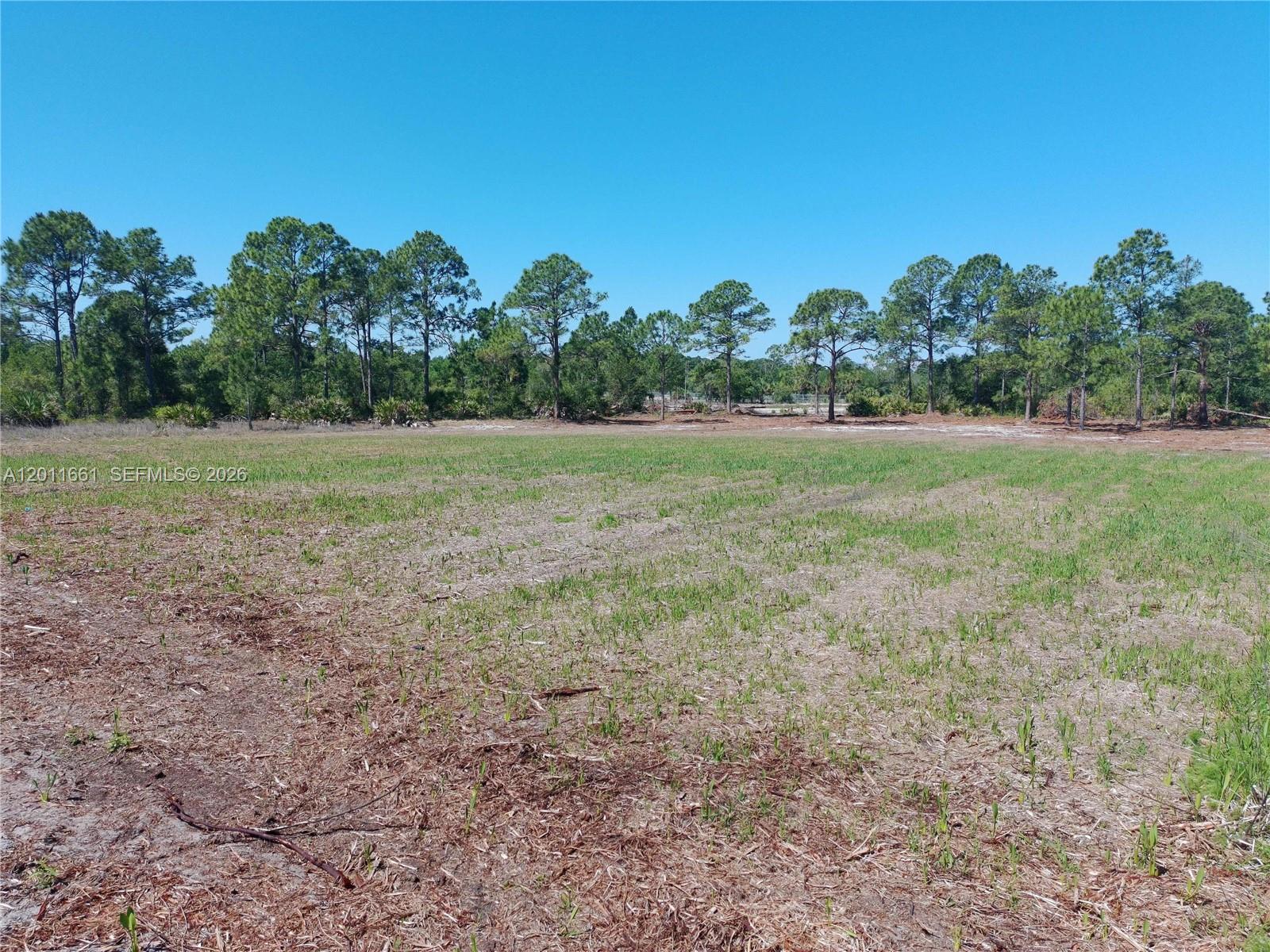 Montura Ranch Estates - Land