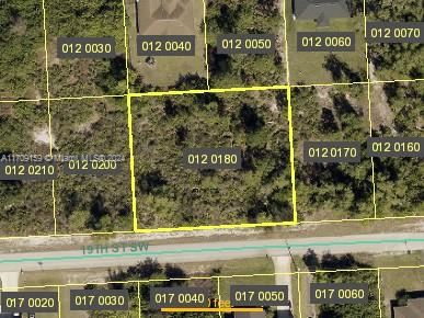 This 0.49-acre vacant lot in the peaceful, fast-growing community of Lehigh Acres, Florida, offers a prime opportunity to build your dream home or investment property. Surrounded by lush vegetation, it provides a private, serene setting perfect for a custom home, retreat, or income-generating property. Located in a quiet residential area, the lot is close to schools, parks, golf courses, shopping, dining, and outdoor activities like hiking and fishing. Gulf Coast beaches and Fort Myers are just a short drive away, offering urban conveniences, entertainment, and airport access. With its excellent location, spacious size, and endless possibilities, this property is an ideal investment in Florida’s thriving market. Turn this blank canvas into your vision of paradise!