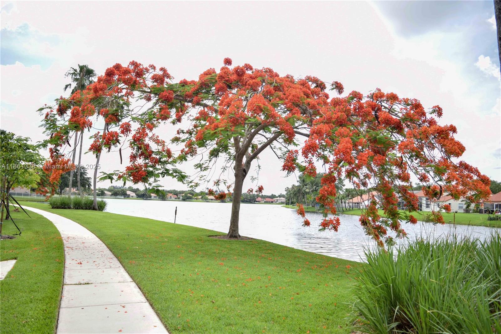 EMBASSY LAKES - Residential Lease