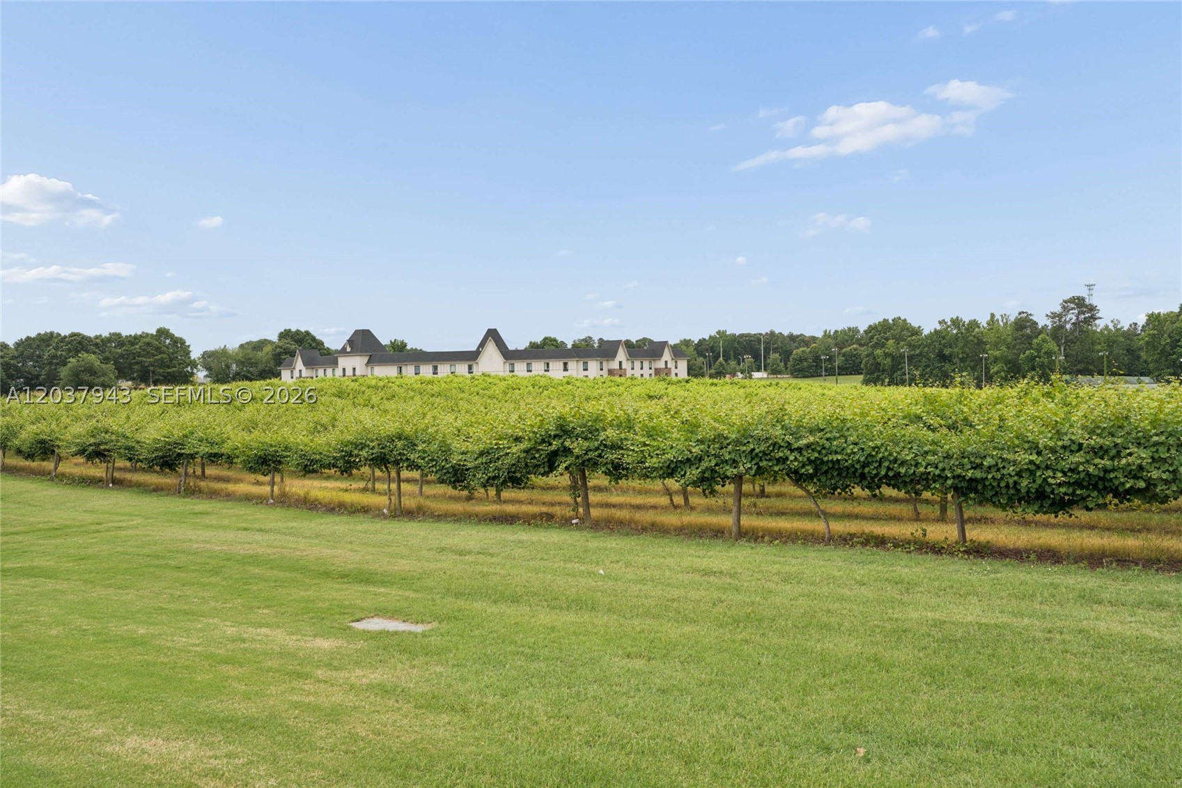 Legends/Chateau Elan Ph I - Residential