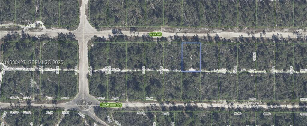 SEBRING HILLS SOUTH WEST - Land