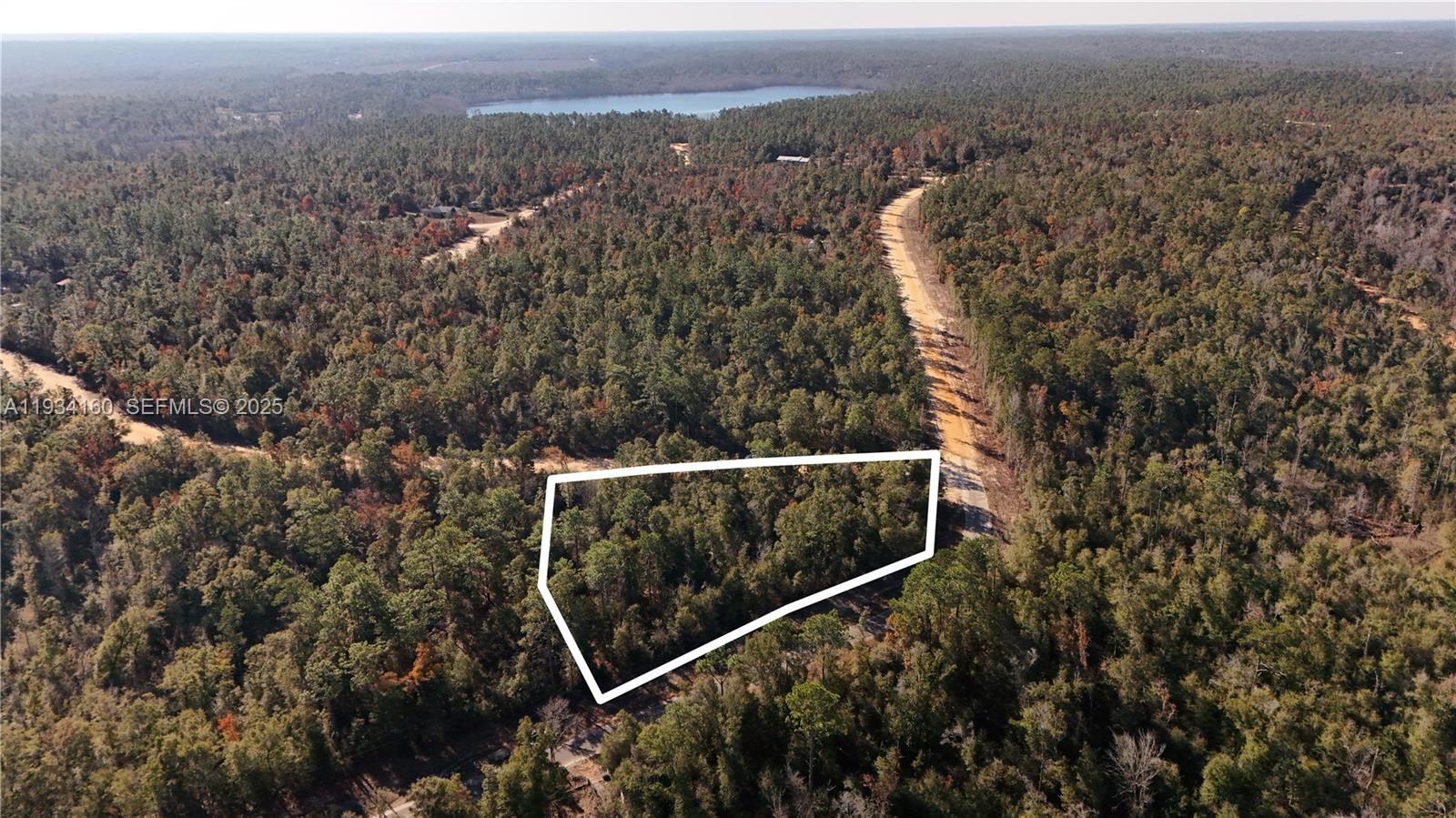 Spacious 0.92-acre vacant lot located on Alene Dr in Alford, FL. This nearly one-acre parcel offers a peaceful rural setting with plenty of room to build your dream home or place a manufactured home (subject to county approval). Enjoy privacy, open space, and the quiet charm of country living while still having convenient access to nearby towns, shopping, and major roadways. Ideal for residential use or long-term investment. No HOA. Bring your plans and make it yours today!