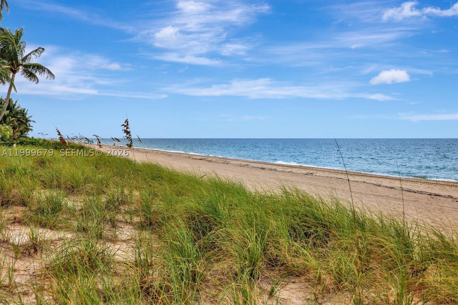 LAUDERDALE BEACH - Residential