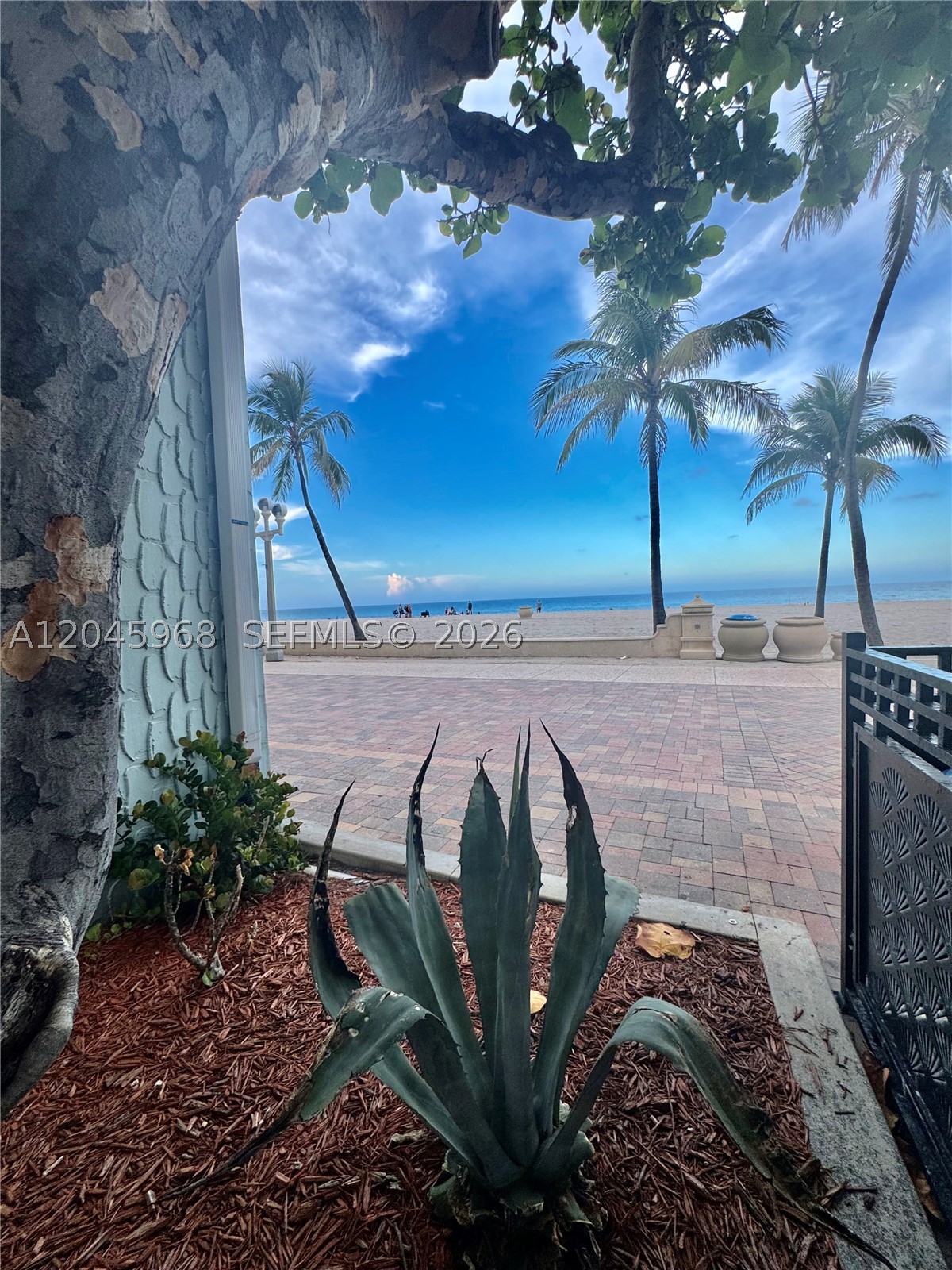 EDGEWATER BEACH TOWERS CO - Residential