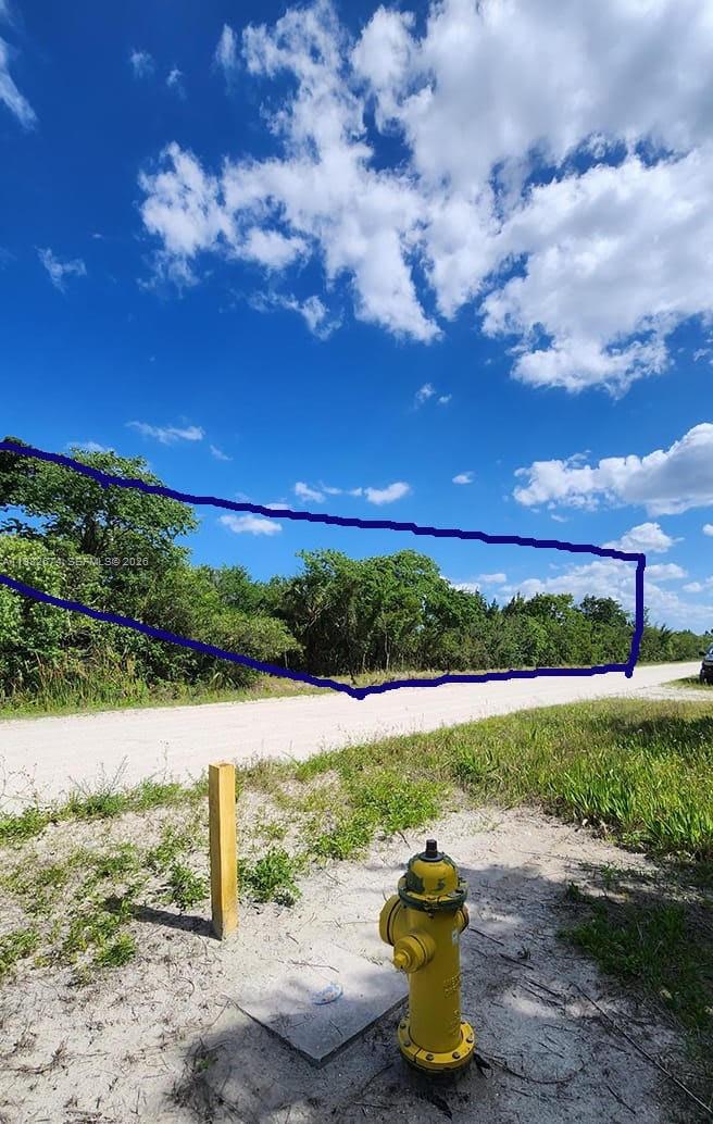 CANAVERAL GROVES - Land