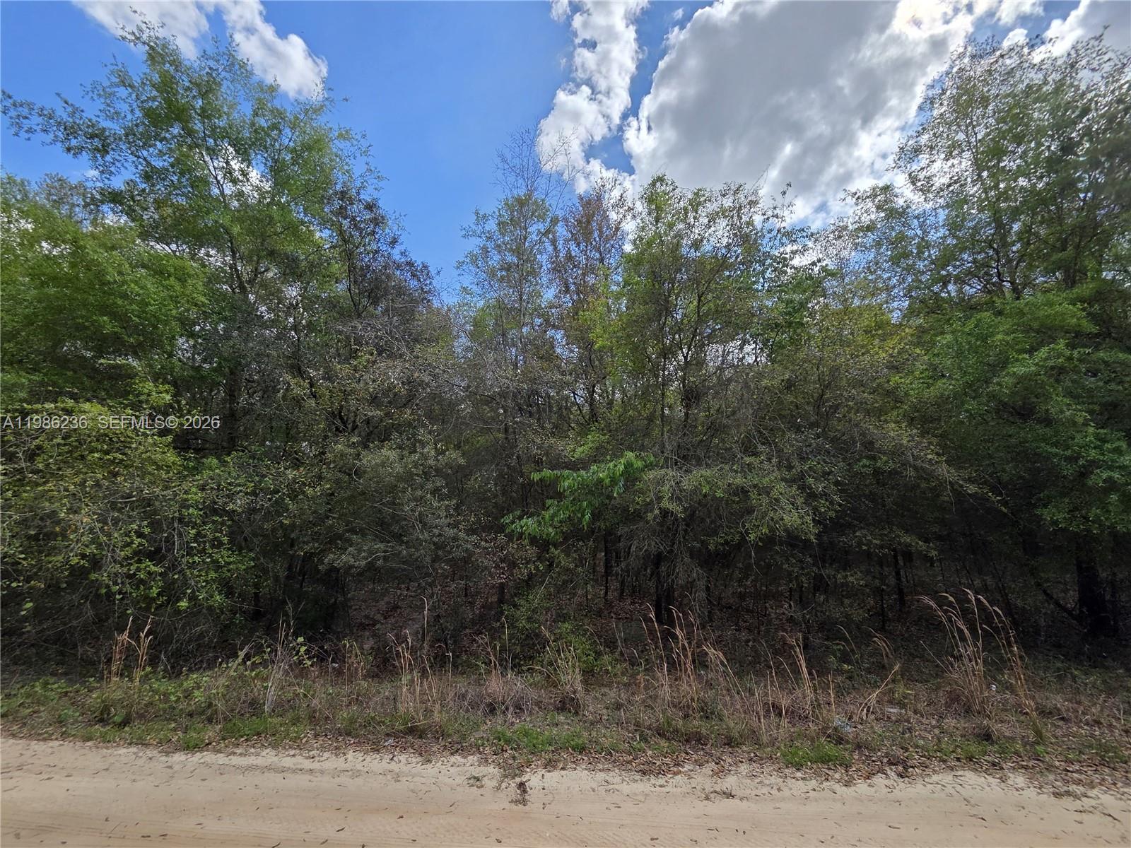BIG TREE LAKES - Land