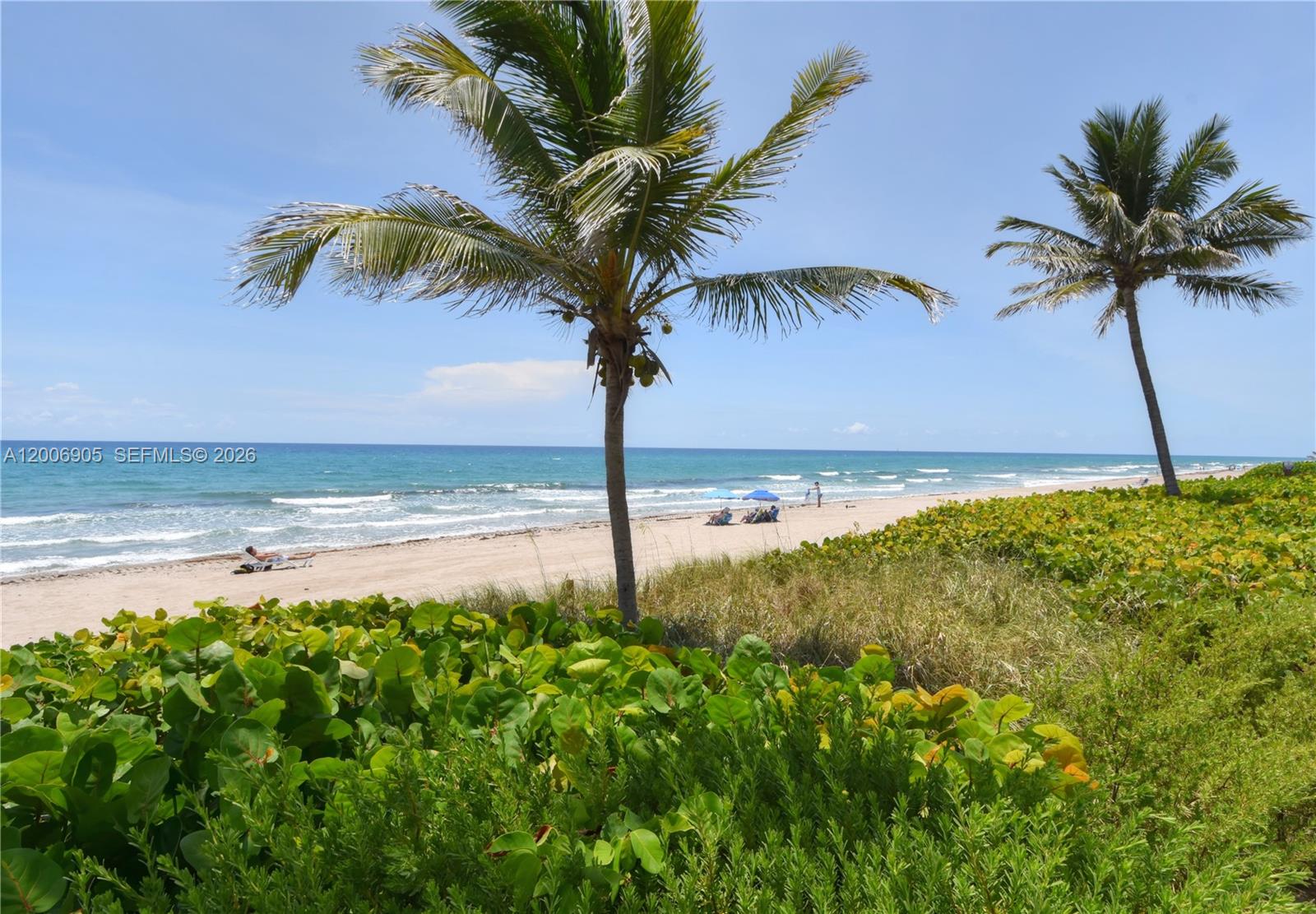 THE MOST DESIREABLE LOCATION IN THE BUILDING. FROM YOUR PRIVATE BALCONY WALK TO THE 
BEAUTIFUL POOL AND YOUR PRIVATE BEACH. SPACIOUS AND BRIGHT UNIT WITH OCEAN VIEWS AS FAR AS YOU CAN SEE. THIS BUIDING HAS COMPLETED ALL THE MILESTONE REQUIRED WORK AND ALL THE ASSESSMENTS ARE PAID. TOWN OF HIGHLAND BEACH IS A RESIDENTIAL 3 MILES PARADISE IN SOUTH FLORIDA. MINUTES TO BOCA RATON AND DELRAY BEACH. ATALNTIC AVE IN DERAY IS A CENTER FOR RESTAURANTAS & ENTERTAINMENT. BOCA RATON MIZNER PARK HAS ALL THE MEUSUMS AND SHOPPING. UNIT HAS A PARKING AND A STORAGE SPACE. 
CLUBHOUSE IS EQUIPPED WITH A KITCHEN FOR PARTIES AND A LIBRARY, GYM, SHUFFLE BOARD 
ARE SO MANY AMENITIES YOU CAN ENJOY. THIS IS THE ULTIMATE RESORT LIVING.