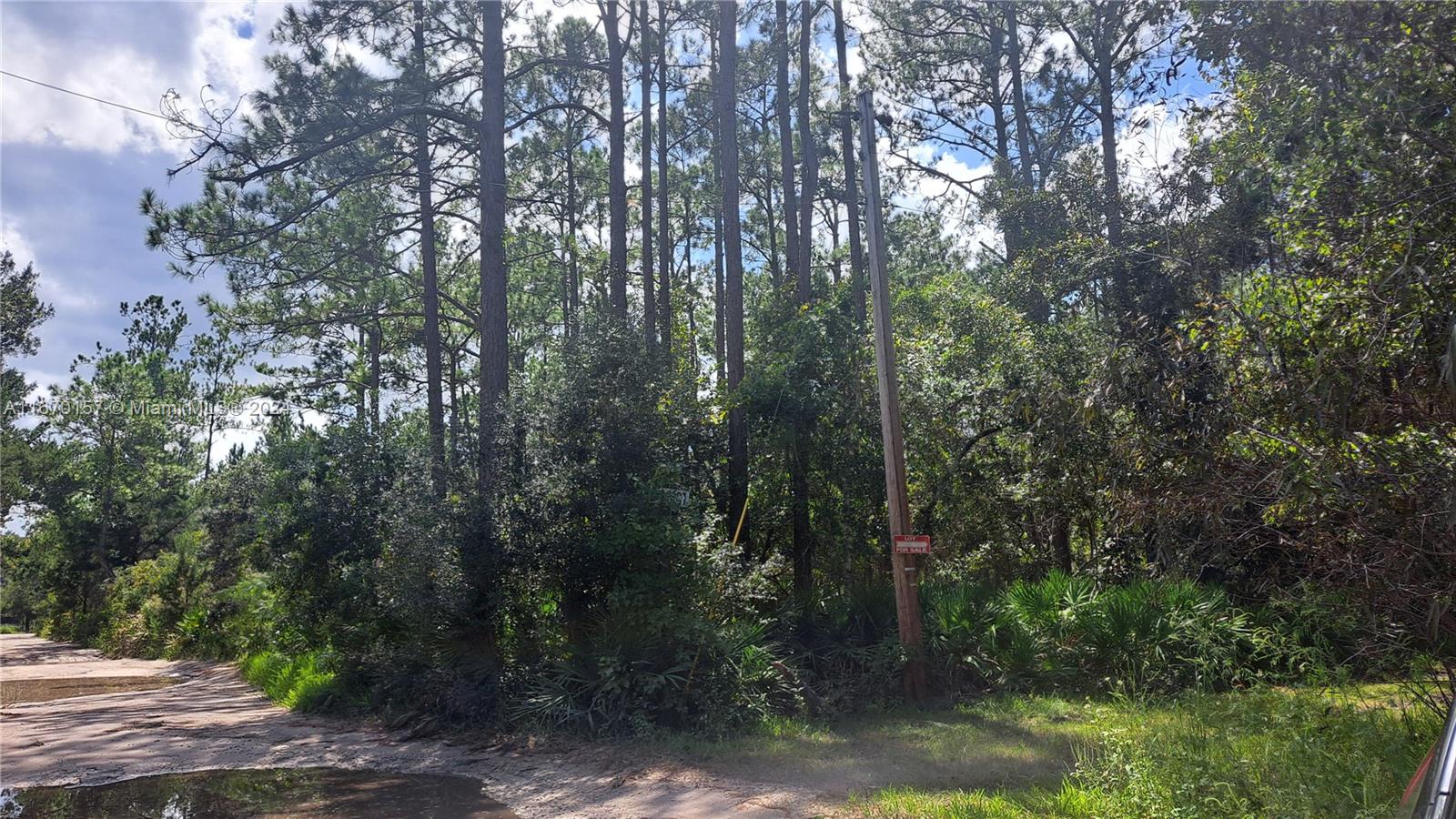 LAKE CHARLES CAMPSITES - Land