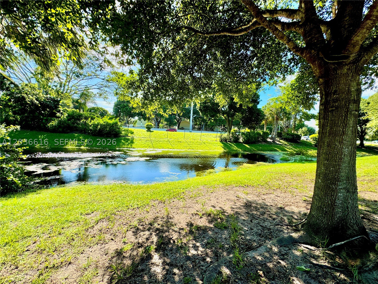 PALM AIRE GARDENS CONDO - Residential Lease