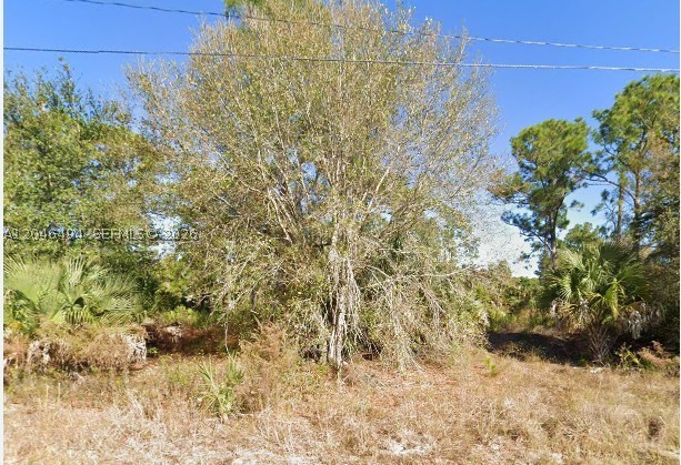 Prime residential lot available in Lehigh Acres—perfect for building your custom home. The adjacent lot is also for
sale, giving you the option to combine both parcels for a larger homesite with endless possibilities. A single-family
home project has already been prepared for both lots, making this an excellent opportunity for builders, investors,
or future homeowners. Secure one or both lots and invest in Florida’s growing market. Enjoy privacy, space, and a
quiet neighborhood close to schools, shopping, and major roads. All information is deemed accurate, but buyers must verify any details. Neither the seller nor the listing agent is responsible for errors or omissions. Measurements and listing information are approximate and not warranted.
