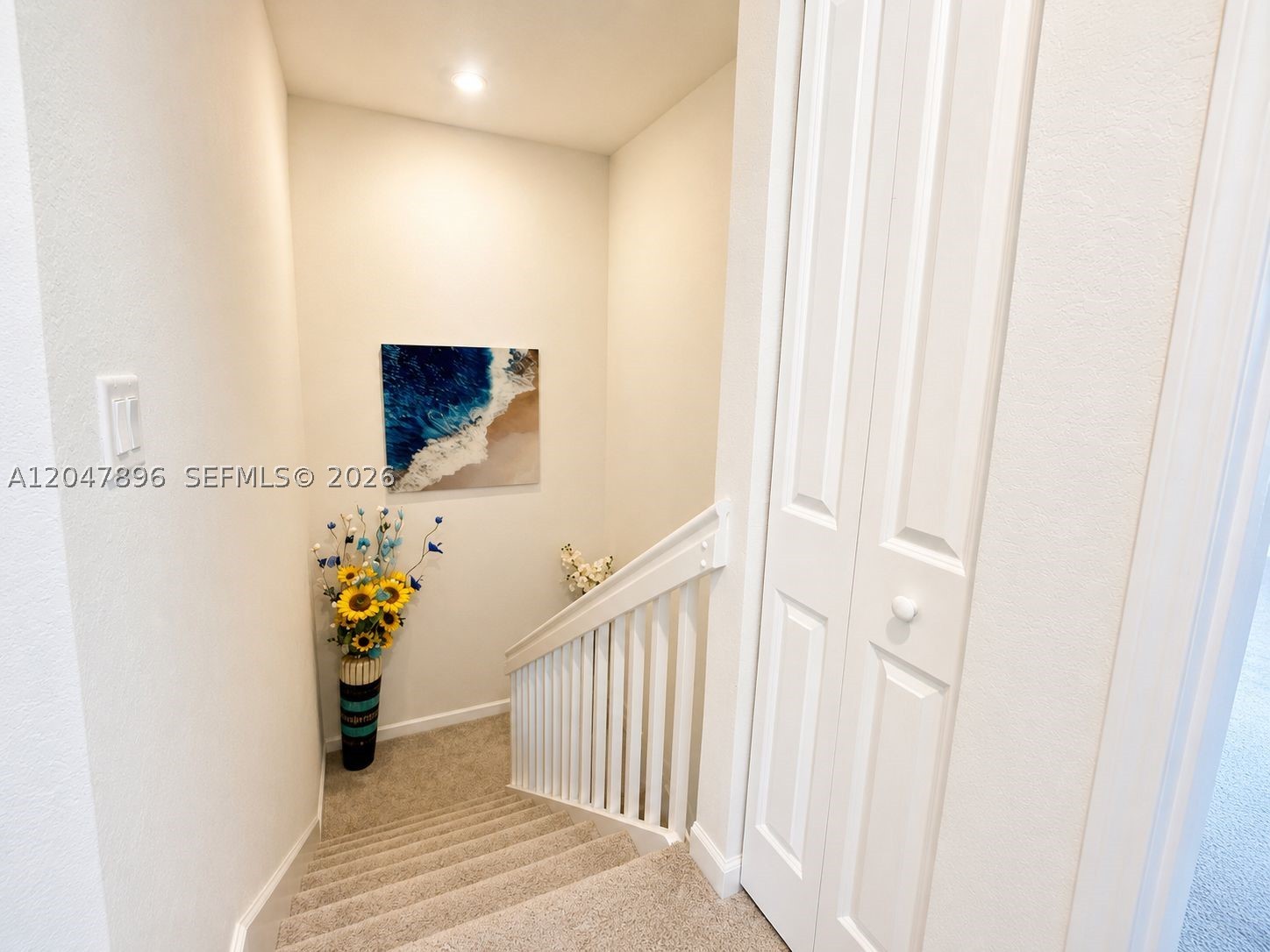 NEWTON ROAD SUBDIVISION - Residential