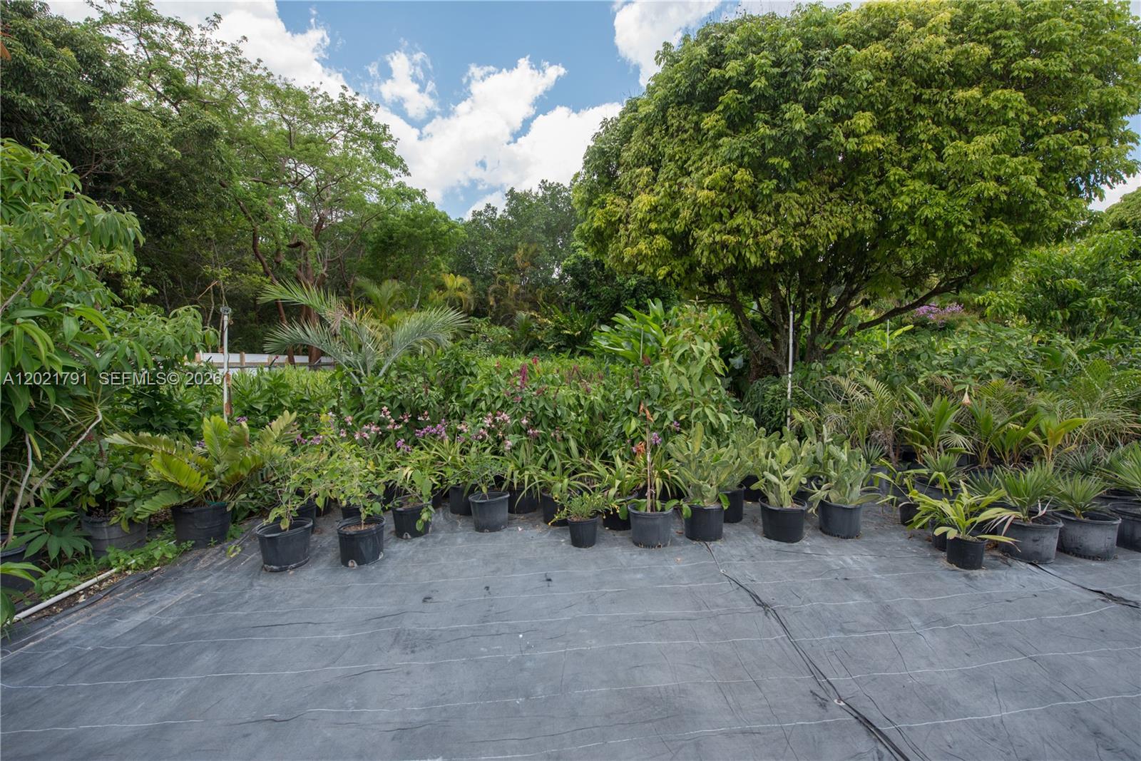 Redlands - Residential