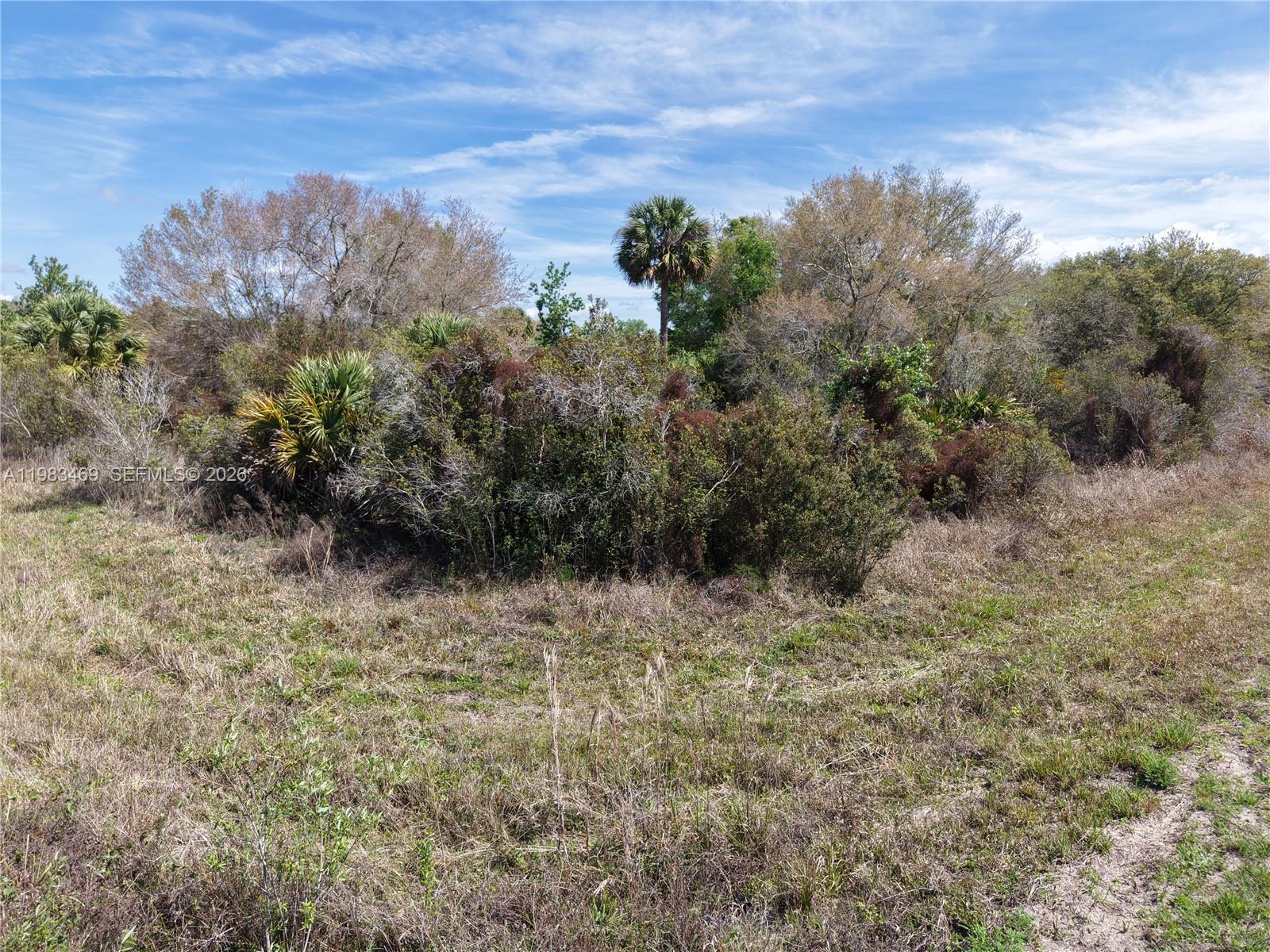OKEECHOBEE - Land