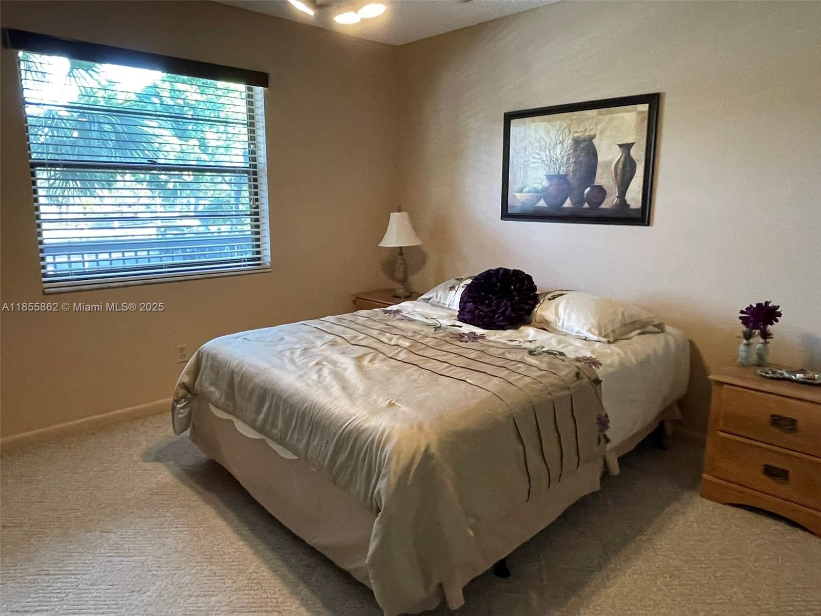 LAKES OF CARRIAGE HILLS - Residential