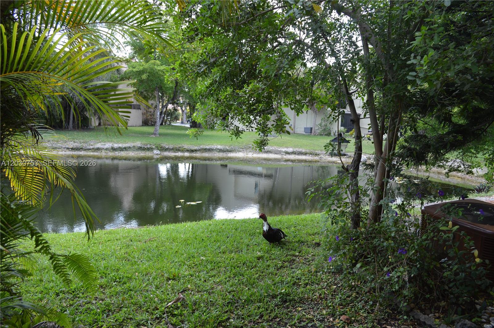 COSTA DEL SOL CONDO NO 1 - Residential Lease