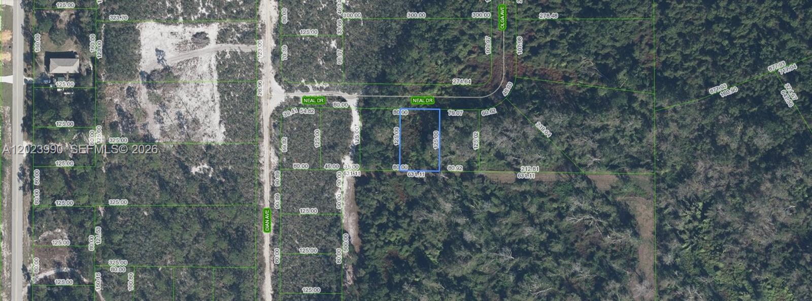 OWNER WLL FIANANCE!!! 1K DOWN!!! 367.44 A MONTH FOR 36 MONTHS AT 7% INTEREST!! Highly desirable interior location . Parcel of vacant, wooded land measuring 0.23 acre in the popular neighborhood of Orange Blossom Estates! This neighborhood does not charge HOA or Special District fees to its residents. The vacant land is currently unimproved. Unpaved road. Wonderful, Rural location yet conveniently close to all of the amenities, restaurants, shopping centers, and major establishments that Sebring, FL has to offer!