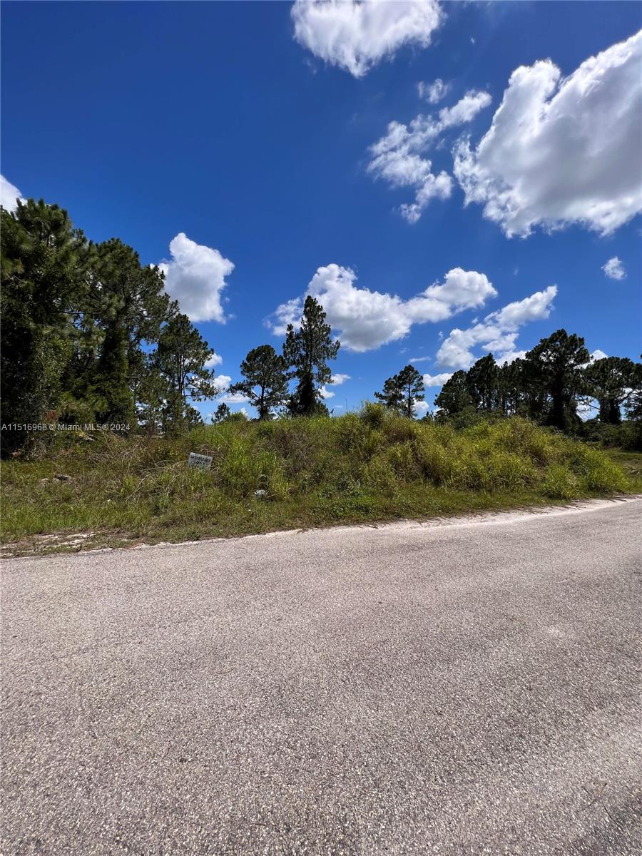 Lehigh Acres - Land