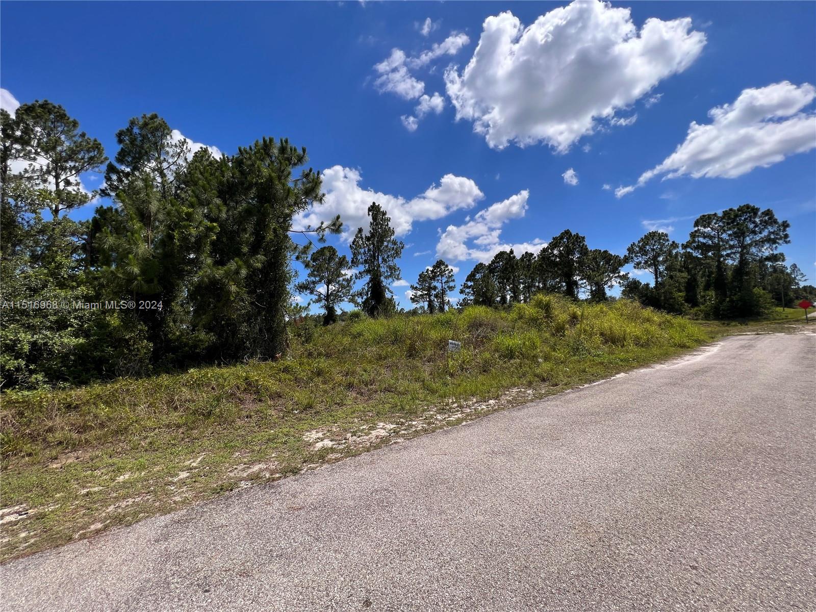 Lehigh Acres - Land
