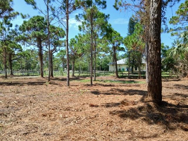 SAINT LUCIE GARDENS - Land