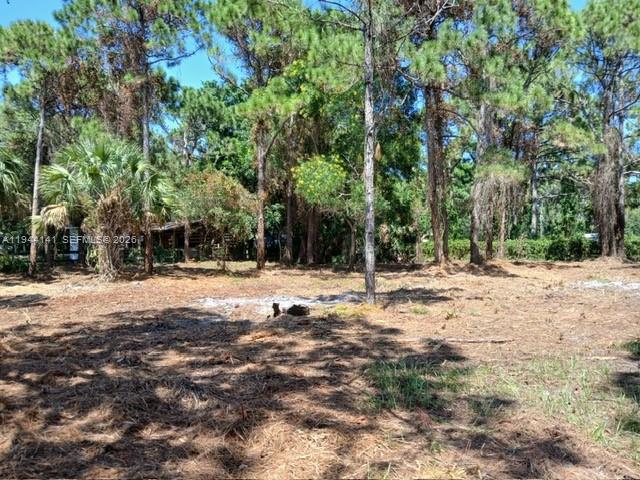 SAINT LUCIE GARDENS - Land