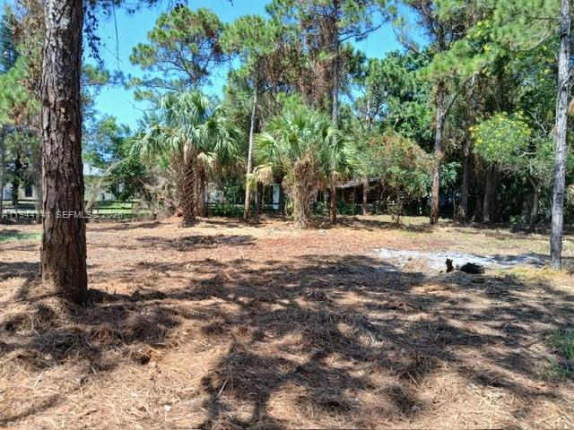 SAINT LUCIE GARDENS - Land
