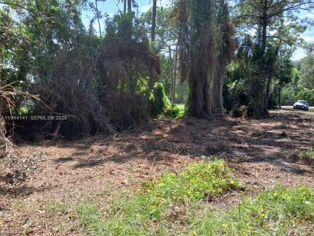 SAINT LUCIE GARDENS - Land