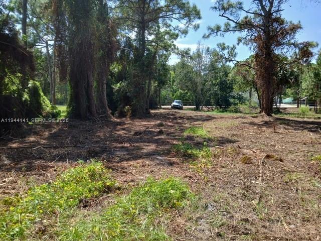 SAINT LUCIE GARDENS - Land