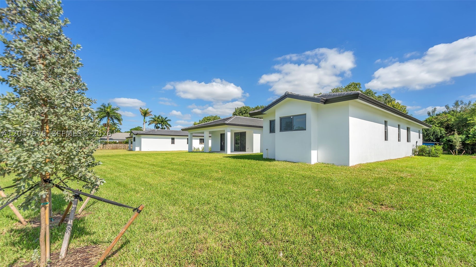 GRIFFING SILVER PALM - Residential