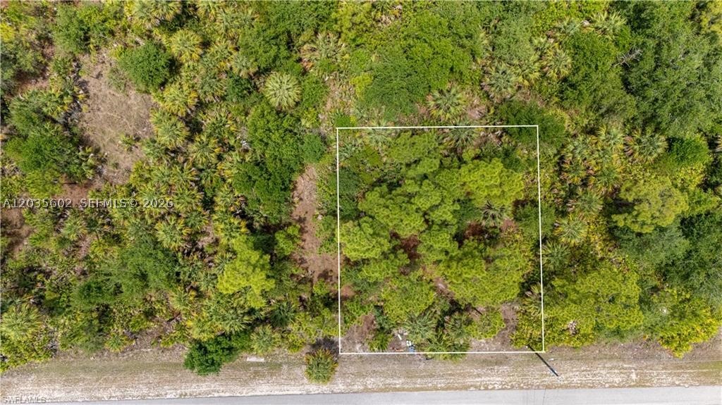 LEHIGH ACRES - Land