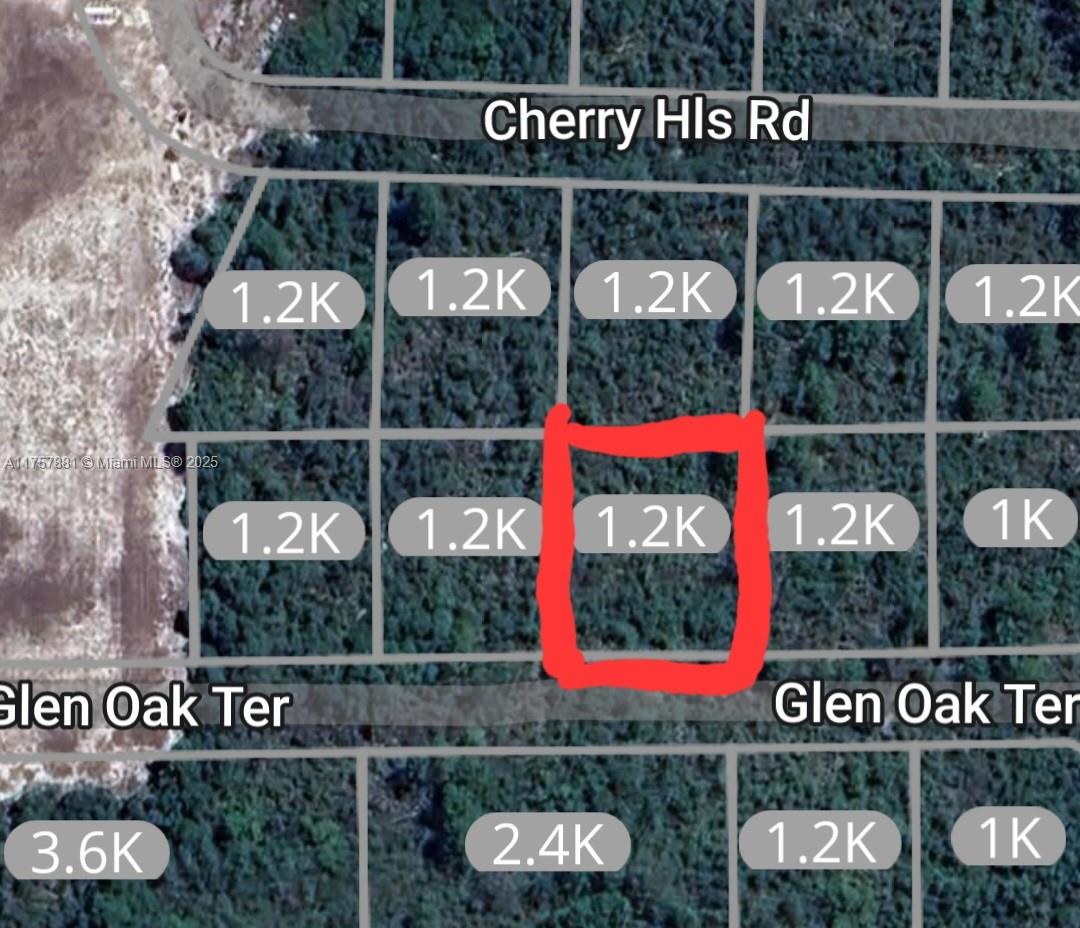 4 Vacant Lots for Sale! This spacious vacant lot is located in the Orange Blossom neighborhood of Sebring, FL. Zoned R1A. Close to Lake Josephine and downtown Sebring. 4 lot bundle, for sale all together!  2948 Glen Oa Ter. , 2936 Glen Oak Ter. and 2925 Cherry Hills Rd. A11757884, A11757877, A11757874.