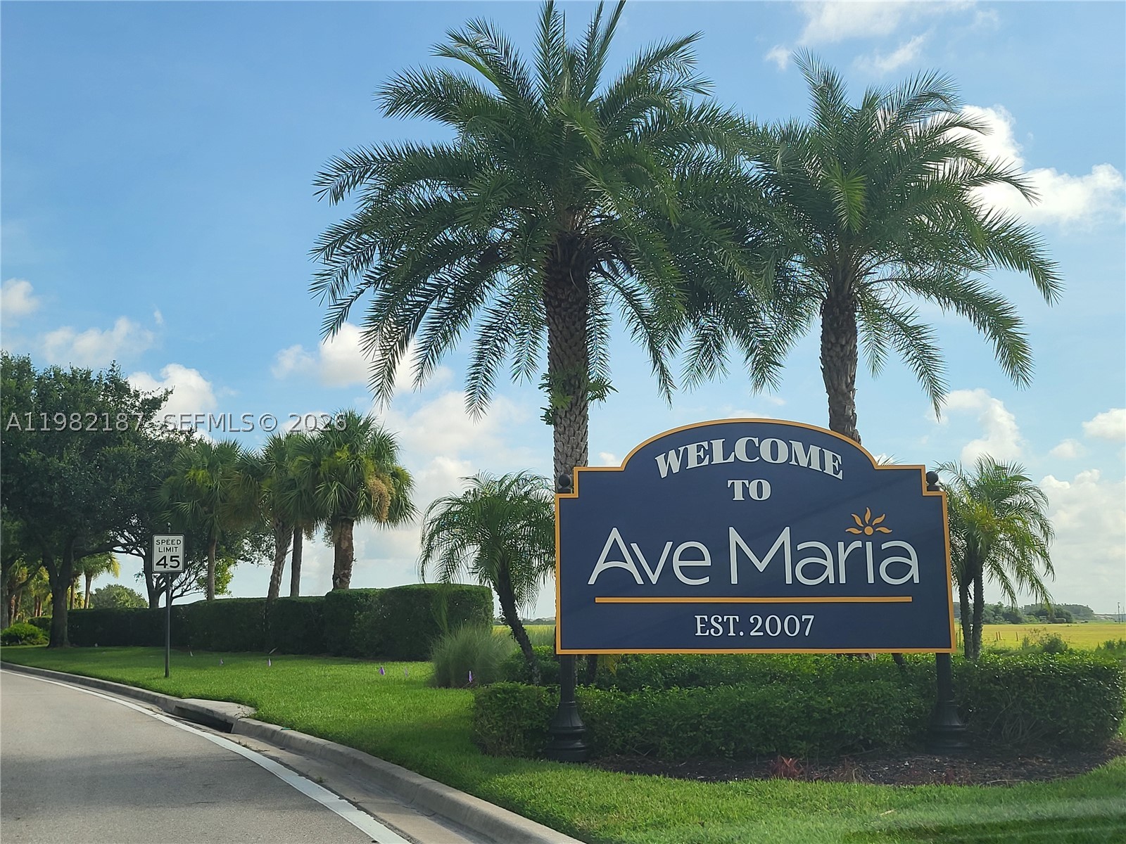 Silverwood At Ave Maria - Residential