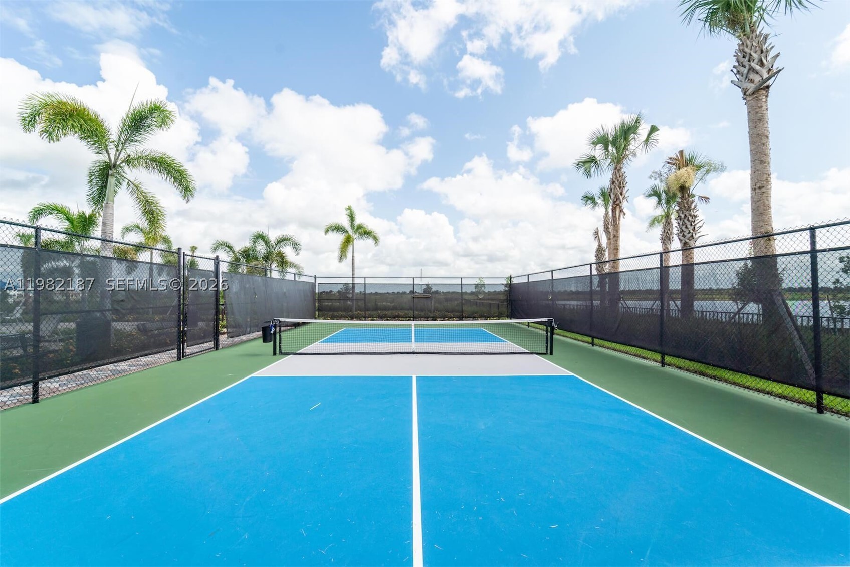 Silverwood At Ave Maria - Residential