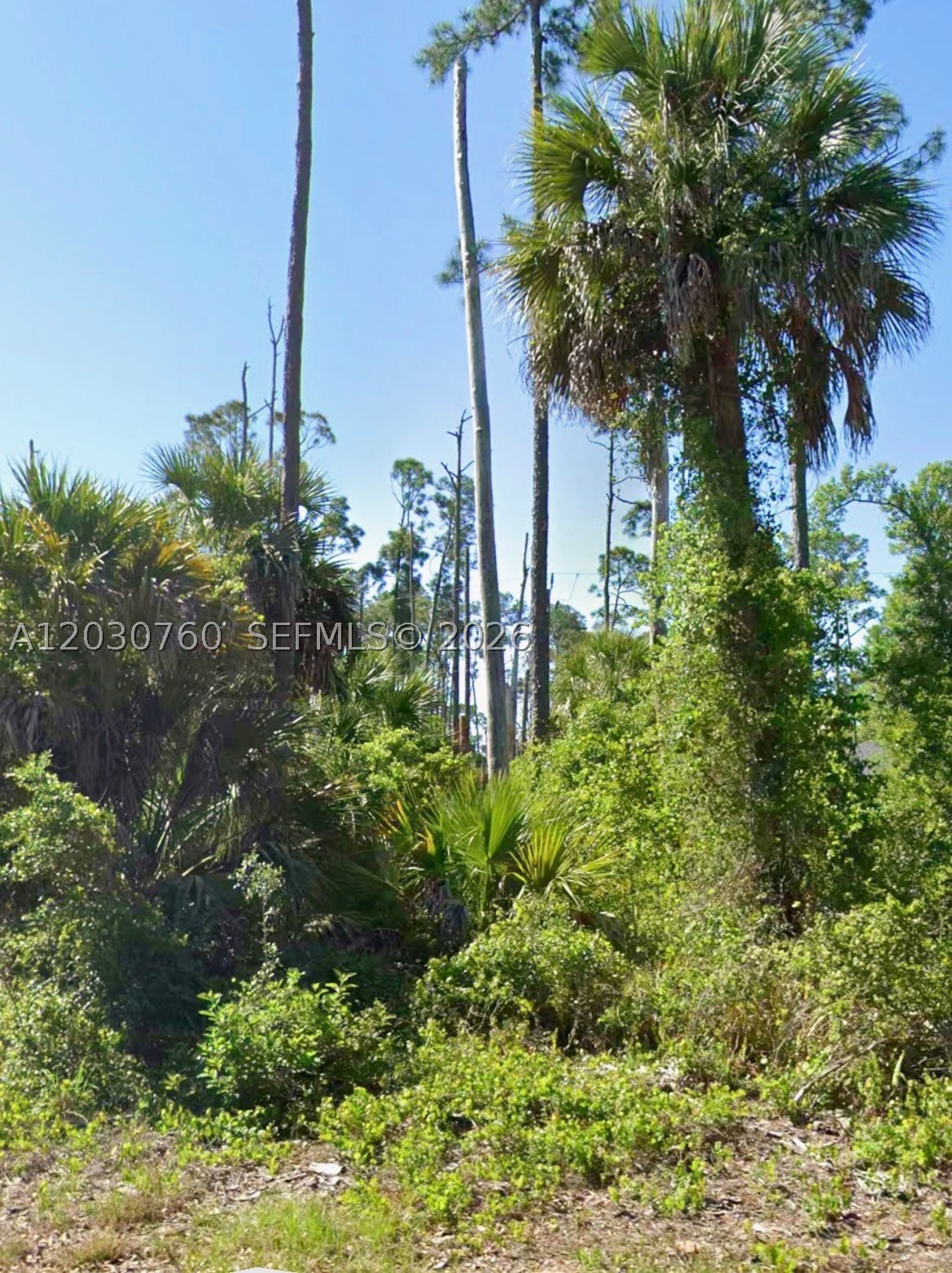 ONE OF THE FEW LOTS AVAILABLE IN THIS RESIDENTIAL AREA 80 x 125 vacant lot in Port Charlotte. New house next door. Beautiful area NEAR BEACH, TOWN CENTERS,SUPERMARKETS, SCHOOLS, AND MORE