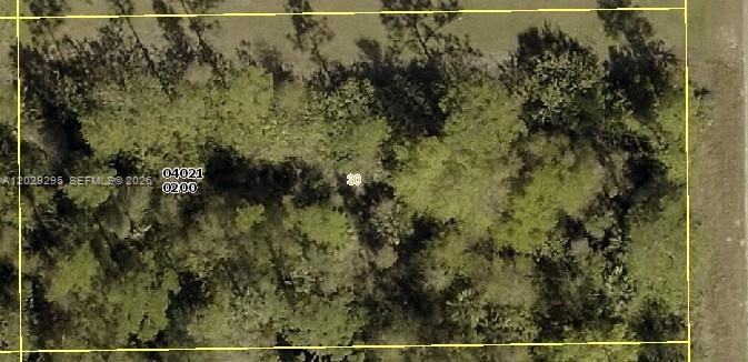 GREAT OPPORTUNITY TO BUILD THE HOUSE OF YOUR DREAMS OR INVESTMENT IN A FAST GROWING COMMUNITY OF LEHIGH ACRES. CALL OR TEXT FOR MORE INFORMATION.
