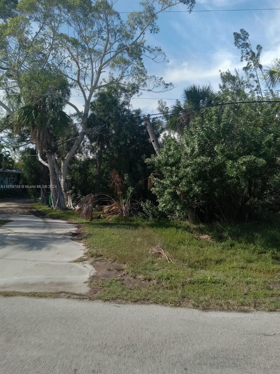 Bayshores - Land